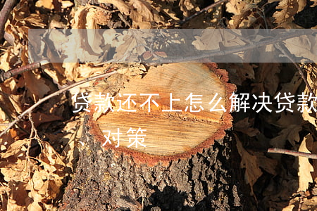 贷款还不上怎么解决(贷款还不上怎么办(后果、对策))