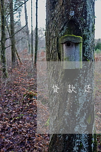 贷款还不起属于刑事