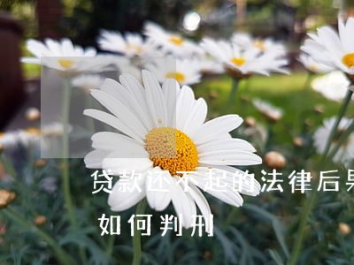 贷款还不起的法律后果-贷款还不起怎么办如何判刑