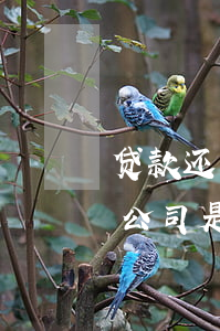 贷款还不起监事负人吗(监事个人贷款不还对公司是否有影响)