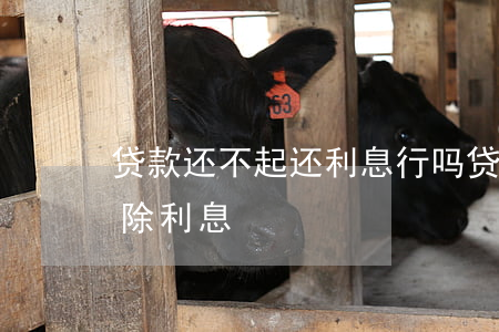 贷款还不起还利息行吗 贷款还不起能不能免除利息