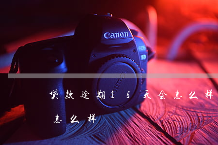 贷款逾期15天会怎么样(车贷逾期15天会怎么样)