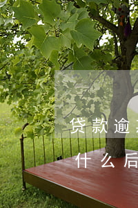 贷款逾期200天了(贷款逾期180天后,有什么后果)