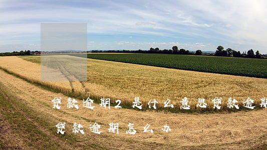 贷款逾期2是什么意思(贷款逾期是什么意思,贷款逾期怎么办?)