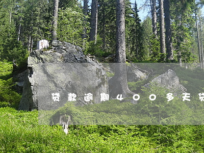 贷款逾期400多天(贷款逾期超过90天)
