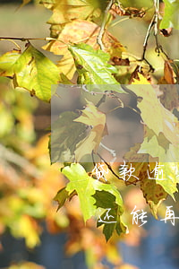贷款逾期4天还能再贷吗(银行贷款逾期几天还能再贷么)