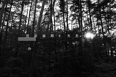 贷款逾期5天怎么算(贷款逾期五天还款怎么办)
