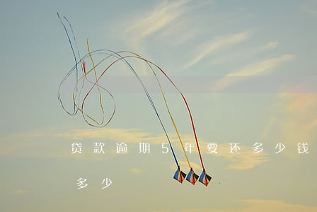 贷款逾期5年要还多少钱(5万逾期5年要还多少)