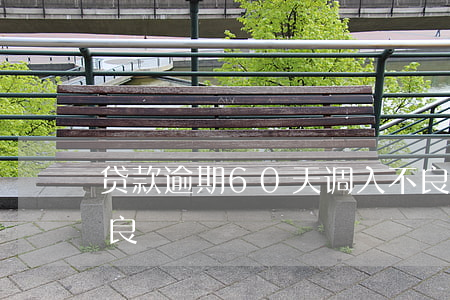 贷款逾期60天调入不良(逾期60天纳入不良)