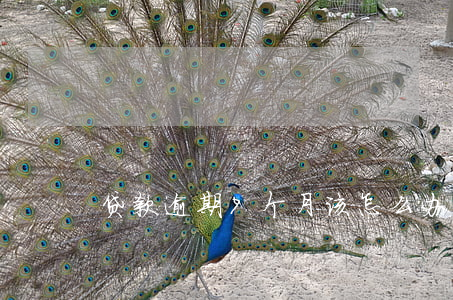 贷款逾期7个月该怎么办(房贷逾期7个月)