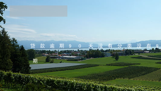 贷款逾期90天没有分类(没有90天以上逾期)
