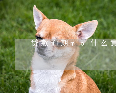 贷款逾期mo什么意思(逾期是啥意思呀?)