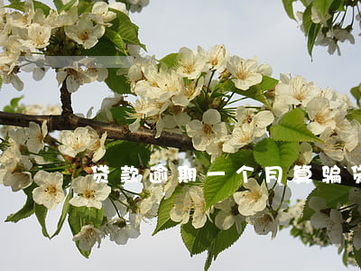 贷款逾期一个月算骗贷吗(贷款逾期违法吗)