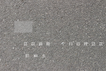 贷款逾期一个月管理(贷款逾期一个月了有啥影响么)