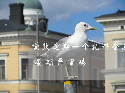 贷款逾期一个礼拜会怎样(银行贷款逾期一个星期严重吗)