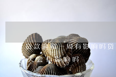 贷款逾期一周有影响吗(贷款不小心逾期了一天会有影响吗)