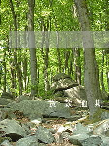 贷款逾期一天会有影响吗(一个一天的逾期会对以后贷款有影响吗)