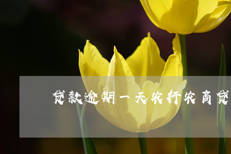 贷款逾期一天农行(农商贷款逾期一天)