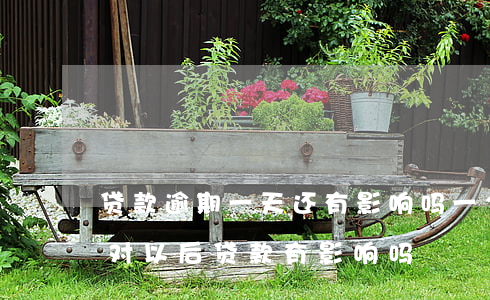贷款逾期一天还有影响吗(一个一天的逾期会对以后贷款有影响吗)