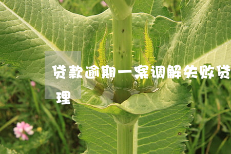 贷款逾期一案调解失败(贷款逾期怎么协商处理)