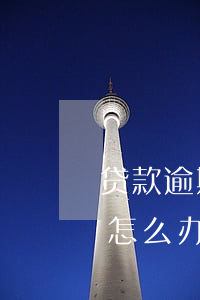 贷款逾期一次怎么消-贷款不小心逾期一次怎么办