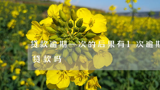 贷款逾期一次的后果(有1次逾期会影响信用贷款吗)