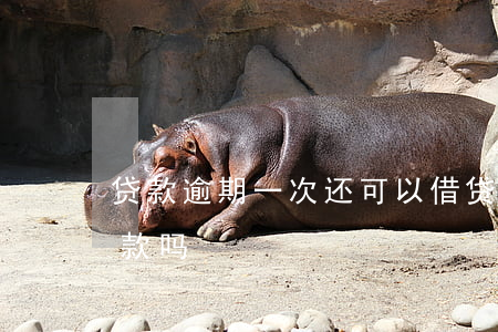 贷款逾期一次还可以借贷(逾期过一次还能贷款吗)