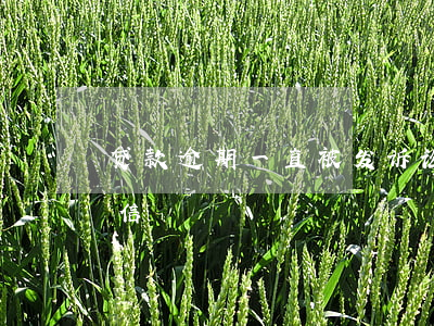 贷款逾期一直被发诉讼短信（房贷逾期起诉短信）