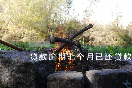 贷款逾期七个月已还(贷款逾期七个月已还)