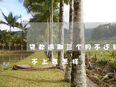 贷款逾期三个月不还(银行贷款逾期三个月还不上会怎样)