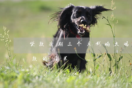 贷款逾期三个月影响大吗(贷款逾期三个月还款的后果)