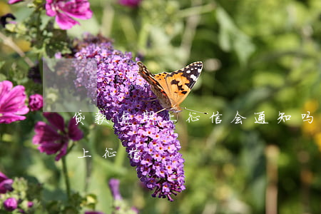 贷款逾期上征信会通知吗(金融贷款逾期多久上征信)