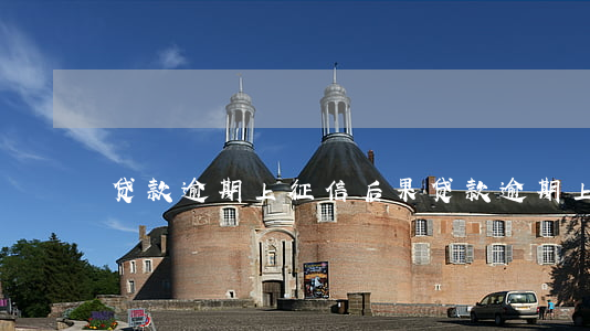 贷款逾期上征信后果(贷款逾期上征信的后果)