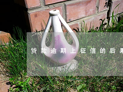 贷款逾期上征信的后果