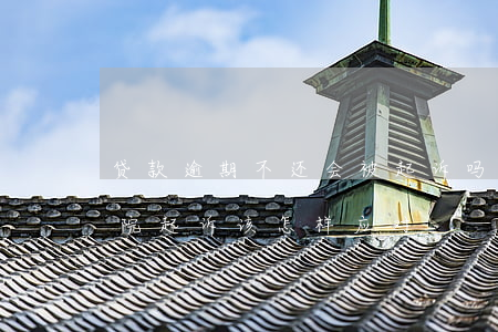 贷款逾期不还会被起诉吗(贷款逾期未还被法院起诉该怎样应对)