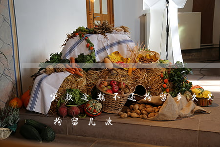 贷款逾期不还拘留多久(欠贷款不还一年可以拘留几次)