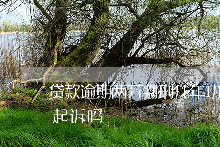 贷款逾期两万判刑几年（功夫贷逾期2万会被起诉吗）
