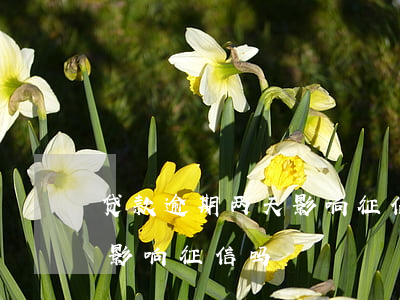 贷款逾期两天影响征信吗(房贷逾期了两天会影响征信吗)