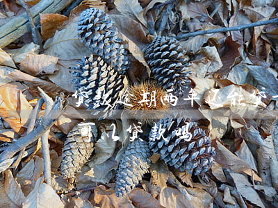 贷款逾期两年还能贷十万(两年内有一次逾期可以贷款吗)