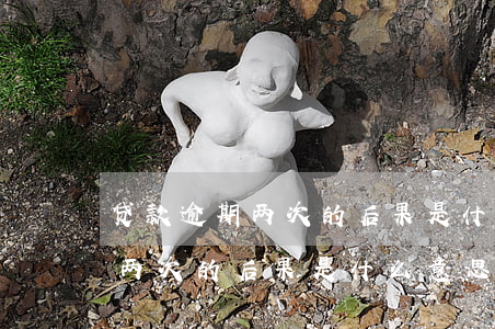 贷款逾期两次的后果是什么意思-贷款逾期两次的后果是什么意思啊