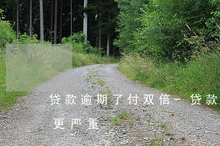 贷款逾期了付双倍-贷款逾期后果比你想象更严重