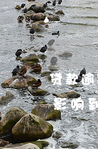 贷款逾期了会影响到信用卡吗(贷款逾期了会影响到信用卡吗上征信吗)