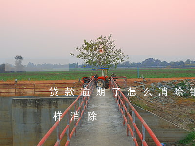 贷款逾期了怎么消除(银行贷款逾期还款后怎样消除)
