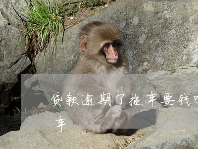 贷款逾期了拖车要钱吗(车款一般逾期多久拖车)