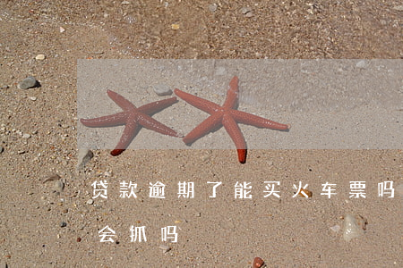 贷款逾期了能买火车票吗(网贷逾期坐车买票会抓吗)