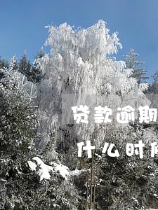 贷款逾期什么时候清零(贷款已结清逾期记录什么时候能清除)