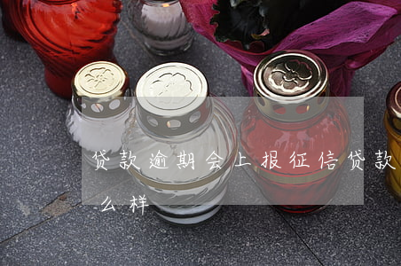 贷款逾期会上报征信(贷款逾期上传征信会怎么样)