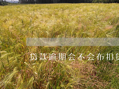 贷款逾期会不会布扣(贷款逾期会自动扣款吗)