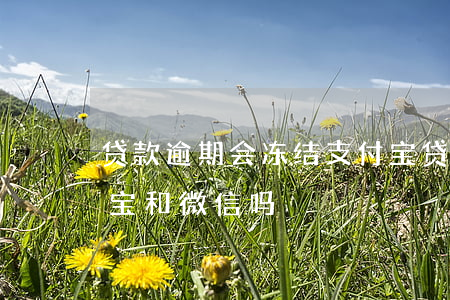 贷款逾期会冻结支付宝(贷款逾期会冻结支付宝和微信吗)