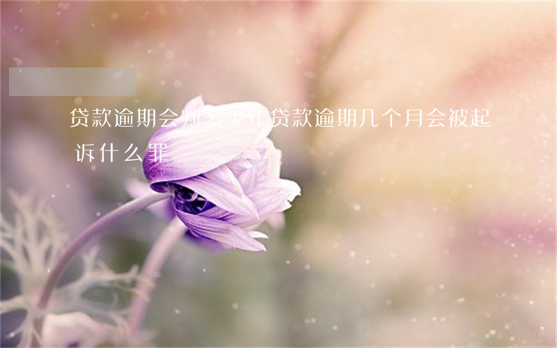 贷款逾期会判多少年(贷款逾期几个月会被起诉什么罪)